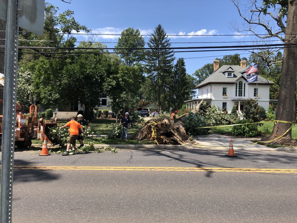 Tropical Storm Isaias aftermath in Hammonton